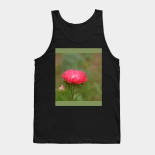 fall red daisy flower in the garden Tank Top